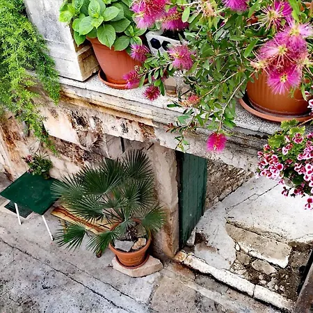 Historic House *